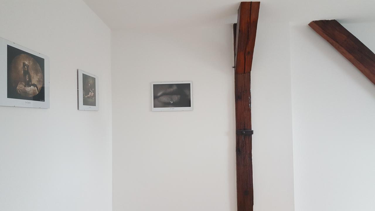 Apartmany Za Sakurou Hodonín Eksteriør billede
